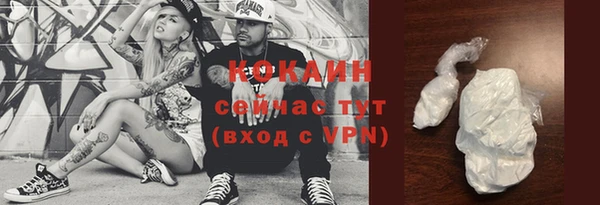 соль ск Кукмор