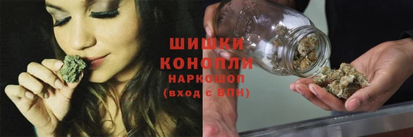 spice Лиски