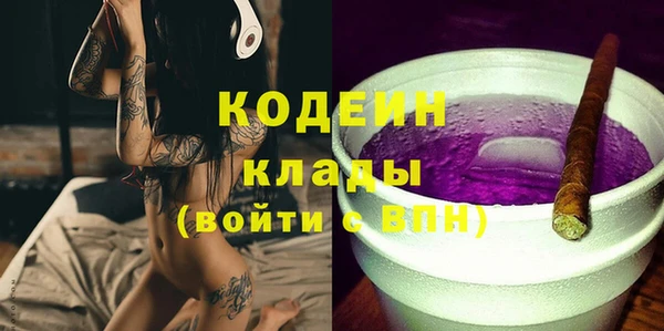 соль ск Кукмор